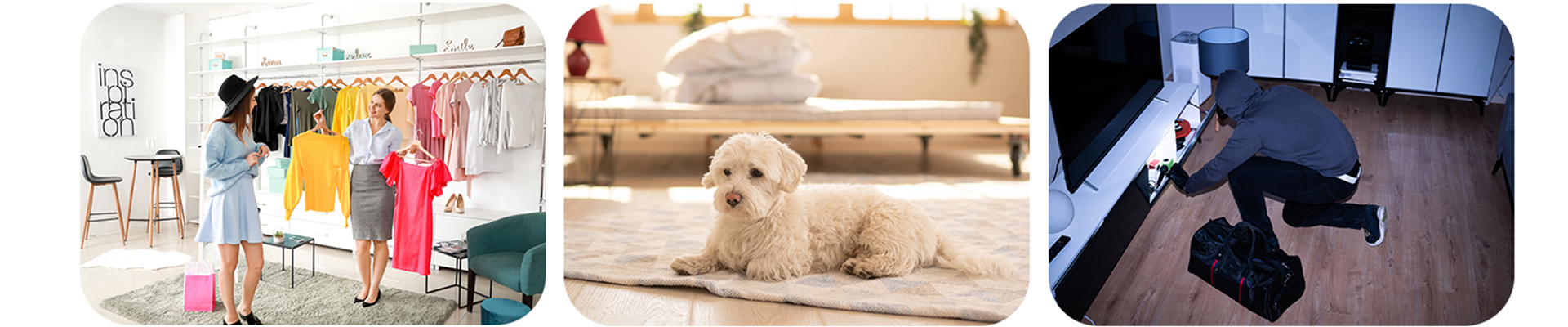 威视达康|我的安全|我做主